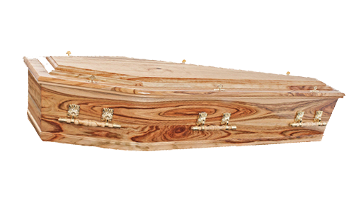 Solid Camphor Laurel Coffin