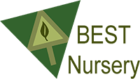 BEST Nursery Logo