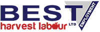 Harvest Labour Service Logo
